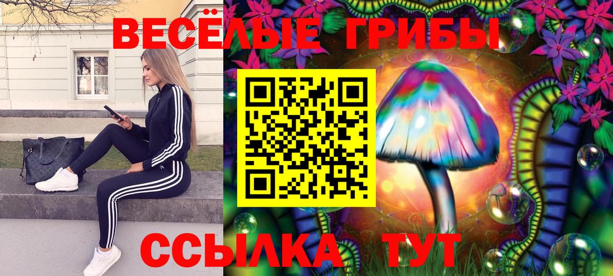 Галлюциногенные грибы MAGIC MUSHROOMS  Вход с VPN  Галлюциногенные грибы GOLDEN TEACHER  Лобня 